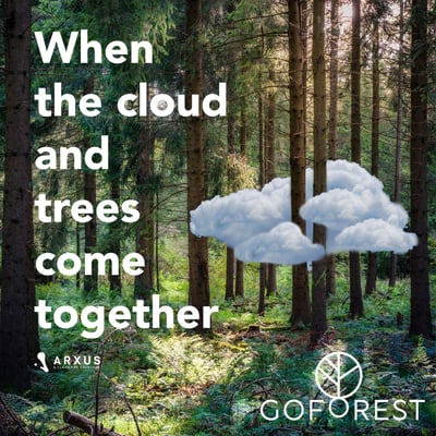GoForest x Arxus